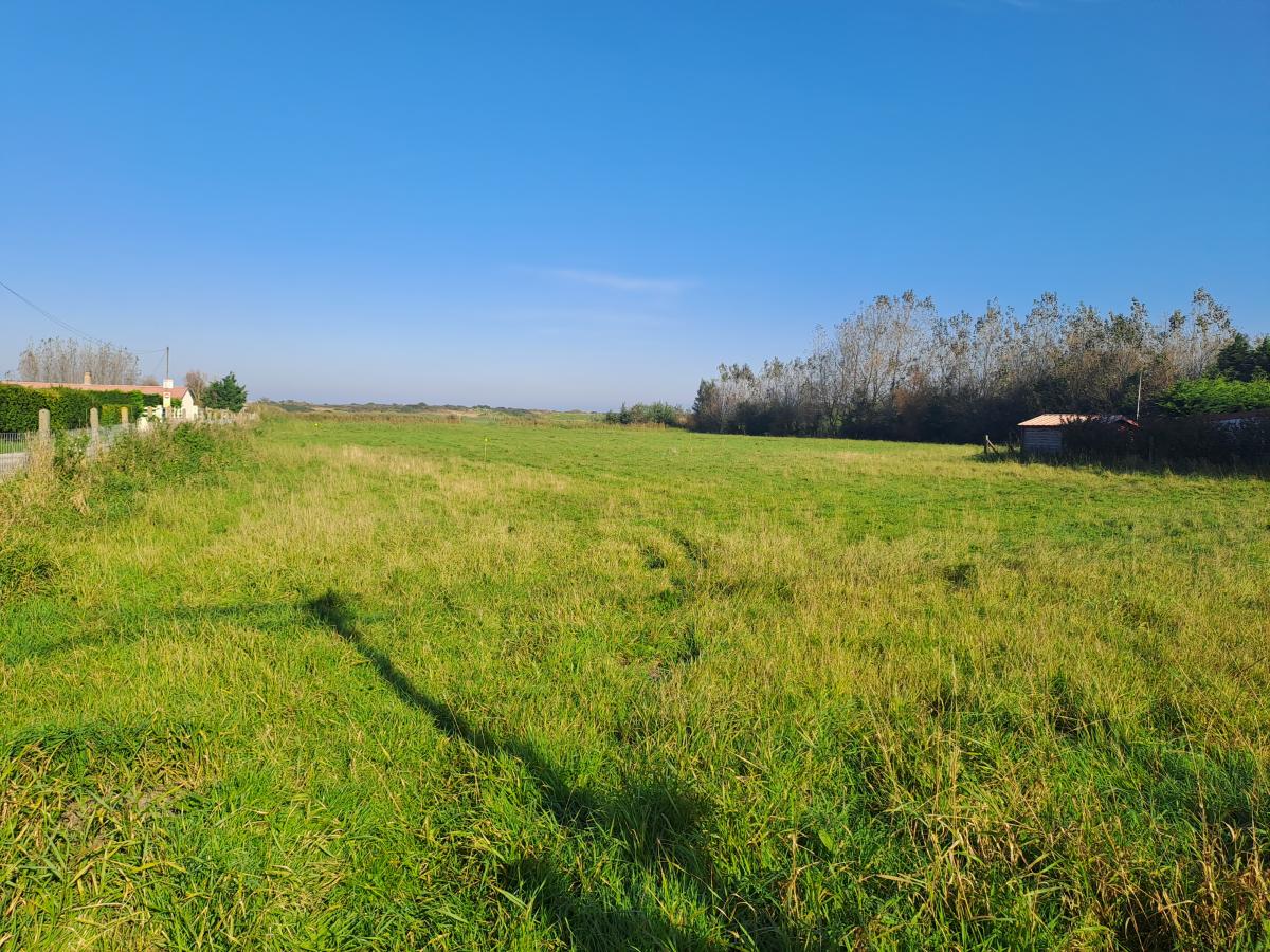 terrain à Oye-Plage